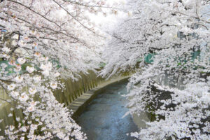 春のツーリング