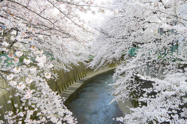 春のツーリング